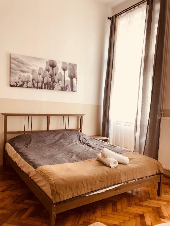 Downtown Apartment 布达佩斯 外观 照片